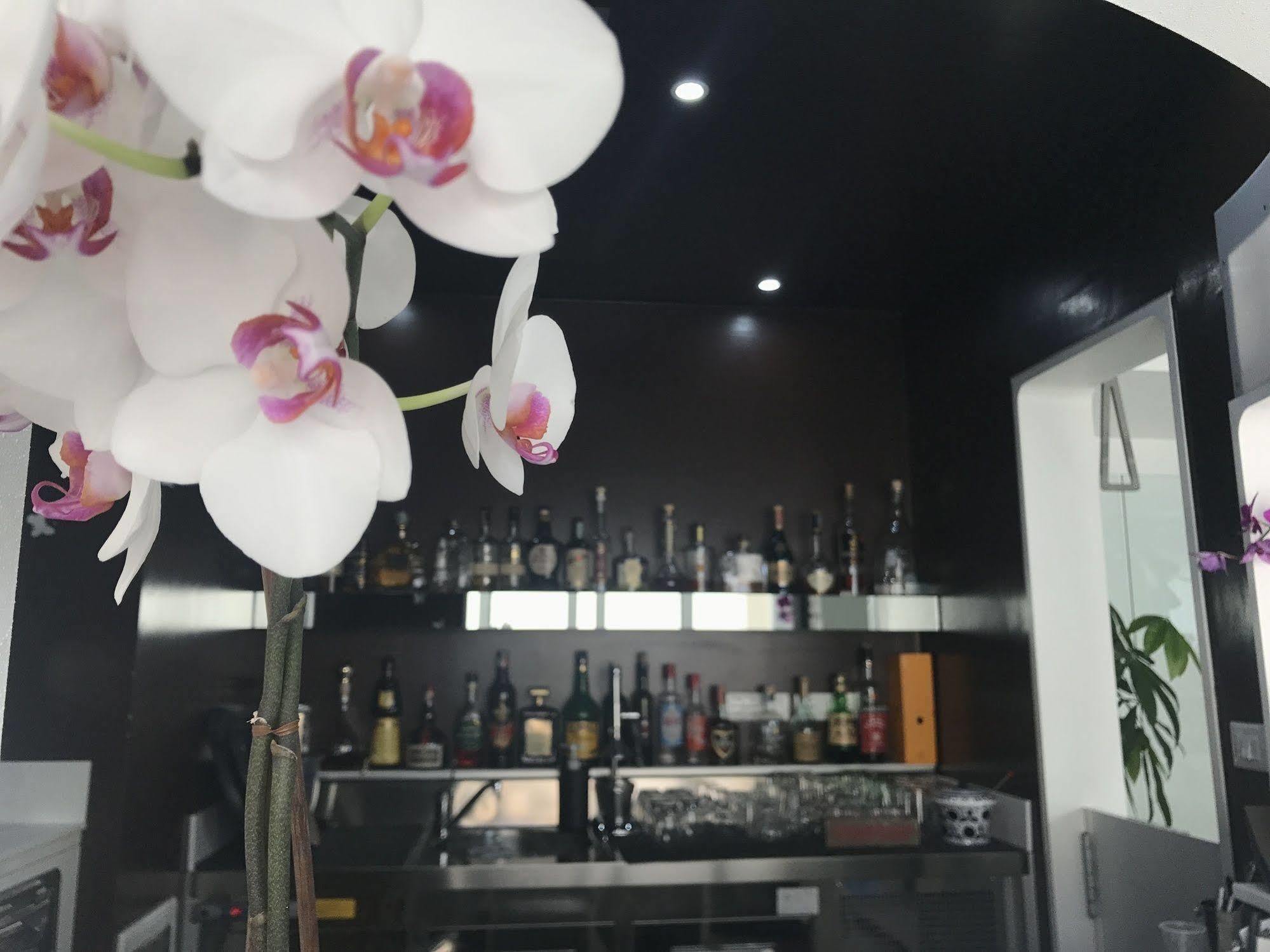 Quihotel Porto Cesareo Dış mekan fotoğraf